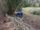 Michael hedge laying